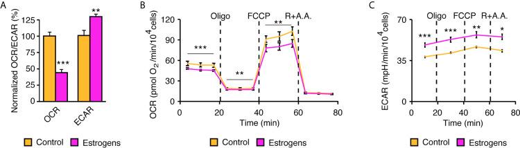https://cdn.ncbi.nlm.nih.gov/pmc/blobs/655a/8397380/d2982e09d6e7/fendo-12-672466-g005.jpg