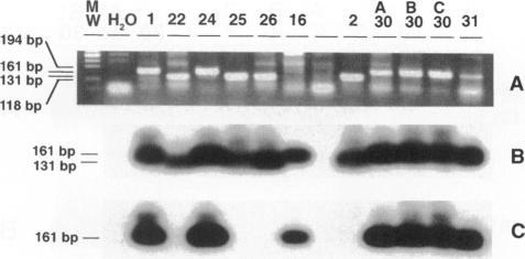 https://cdn.ncbi.nlm.nih.gov/pmc/blobs/655e/1857855/16ca07e105c7/amjpathol00021-0166-a.jpg