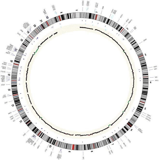 https://cdn.ncbi.nlm.nih.gov/pmc/blobs/655f/3359355/be37fa26c0cf/pone.0037029.g001.jpg