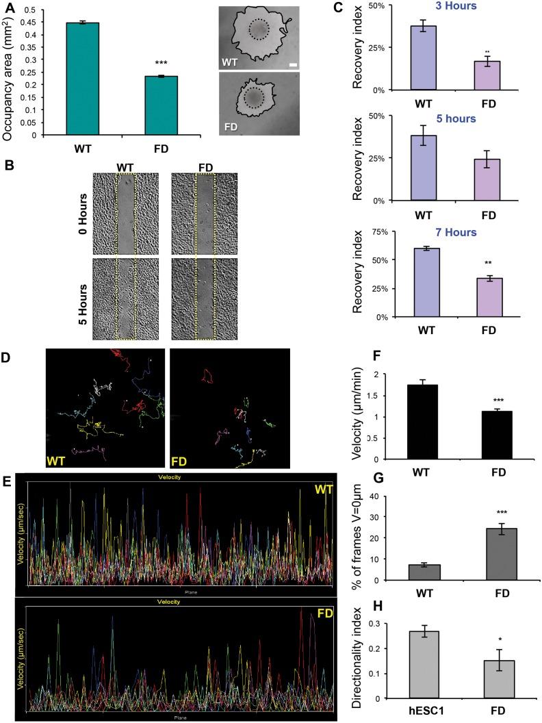 https://cdn.ncbi.nlm.nih.gov/pmc/blobs/655f/4593545/6d5eff8f90d7/pone.0138807.g001.jpg