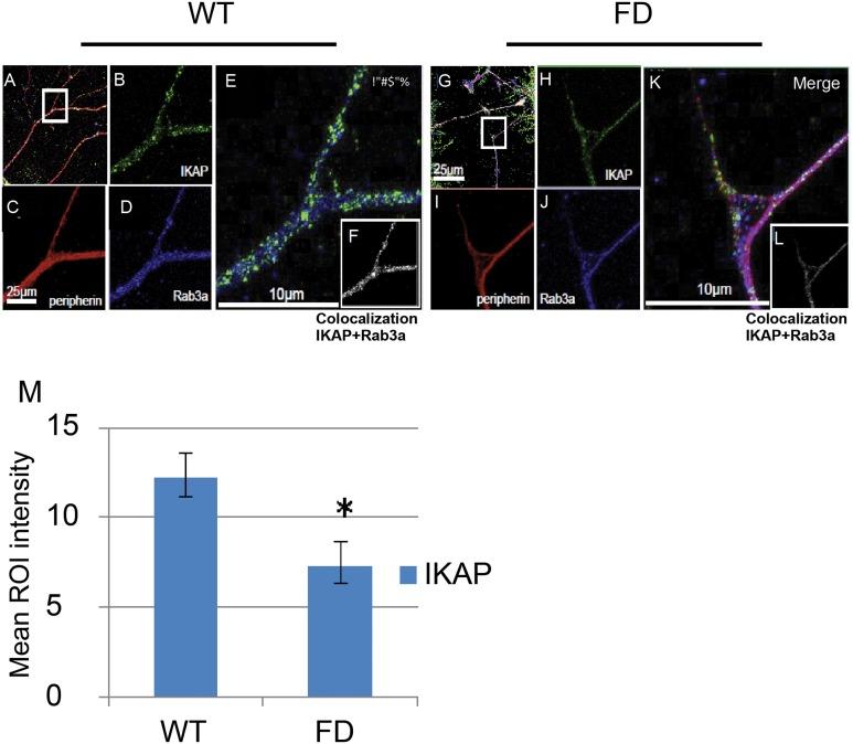 https://cdn.ncbi.nlm.nih.gov/pmc/blobs/655f/4593545/e927738b220b/pone.0138807.g004.jpg