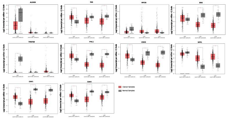 https://cdn.ncbi.nlm.nih.gov/pmc/blobs/655f/6929103/1839b16fd109/ijms-20-06098-g006.jpg
