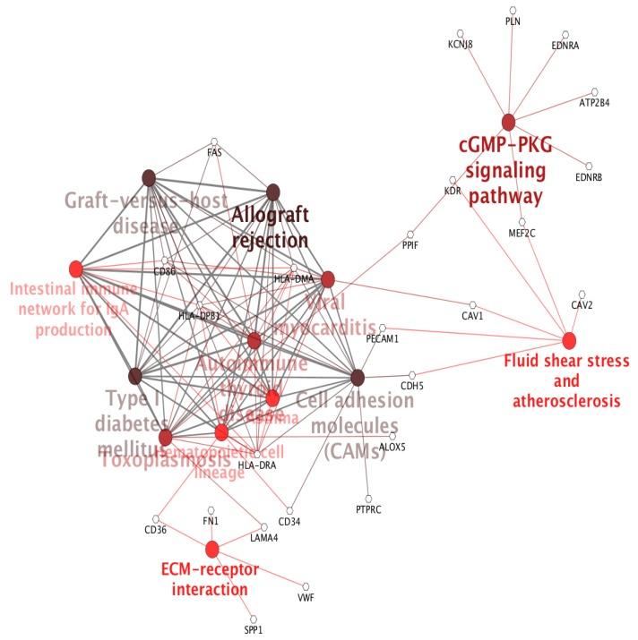 https://cdn.ncbi.nlm.nih.gov/pmc/blobs/655f/6929103/215b00391e55/ijms-20-06098-g003.jpg