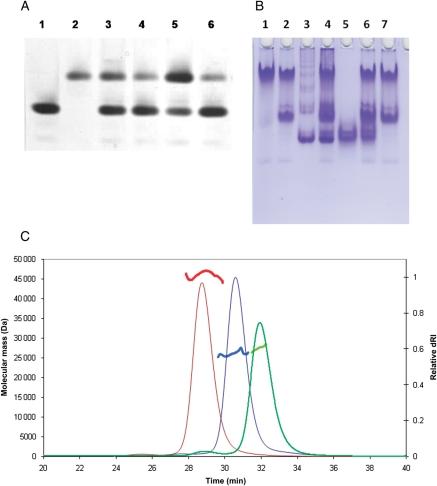 https://cdn.ncbi.nlm.nih.gov/pmc/blobs/6562/2953957/8fa8795b1a09/gzq05705.jpg