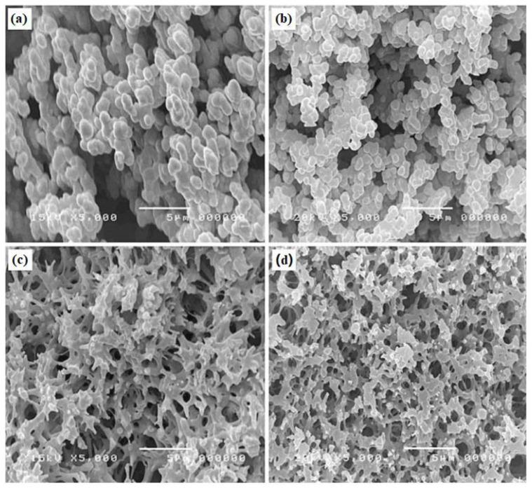 https://cdn.ncbi.nlm.nih.gov/pmc/blobs/6563/8587001/2717f62e6a45/polymers-13-03775-g020.jpg