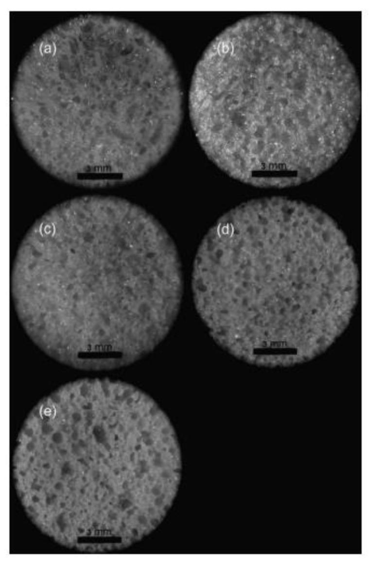 https://cdn.ncbi.nlm.nih.gov/pmc/blobs/6563/8587001/4f615361512c/polymers-13-03775-g014.jpg