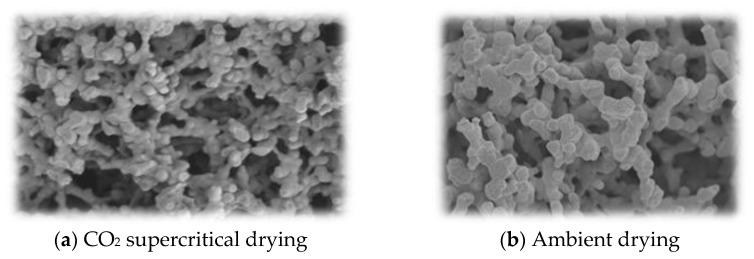 https://cdn.ncbi.nlm.nih.gov/pmc/blobs/6563/8587001/c27d6366a868/polymers-13-03775-g002.jpg