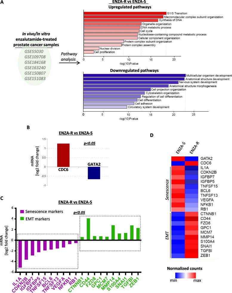 https://cdn.ncbi.nlm.nih.gov/pmc/blobs/6564/10386253/64298c69927d/13046_2023_2769_Fig5_HTML.jpg