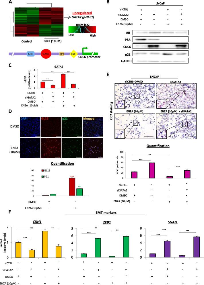 https://cdn.ncbi.nlm.nih.gov/pmc/blobs/6564/10386253/66bc5063ce3f/13046_2023_2769_Fig2_HTML.jpg