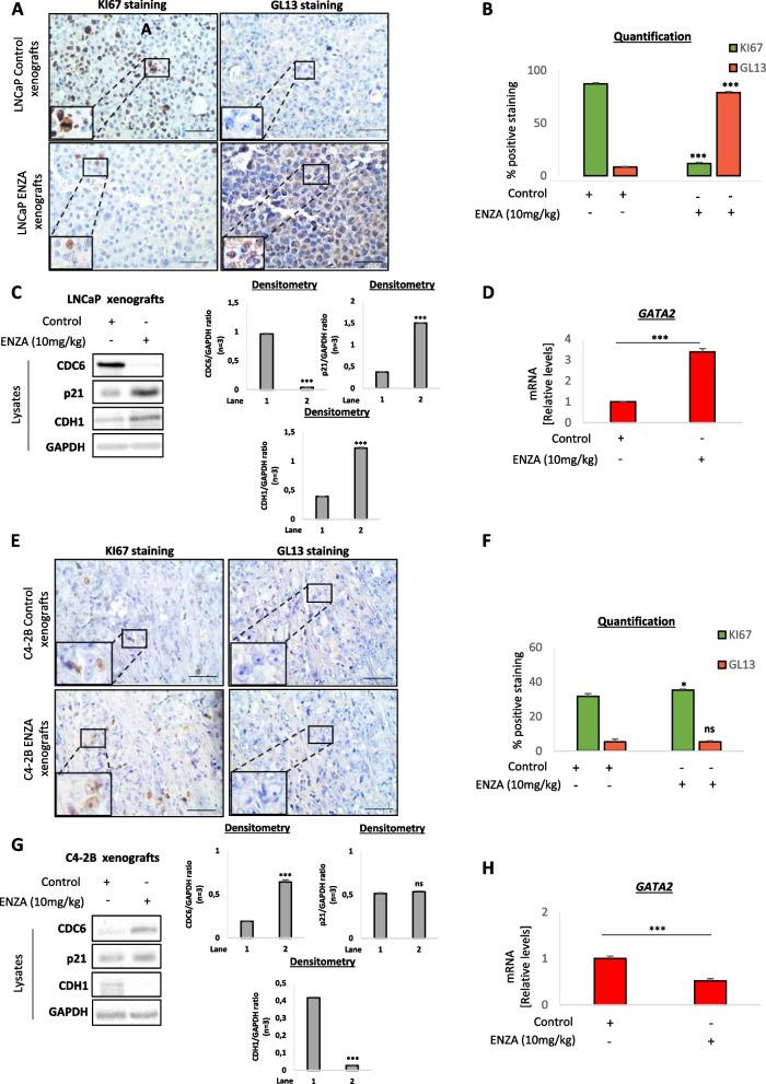 https://cdn.ncbi.nlm.nih.gov/pmc/blobs/6564/10386253/bf8b7a9a7848/13046_2023_2769_Fig6_HTML.jpg