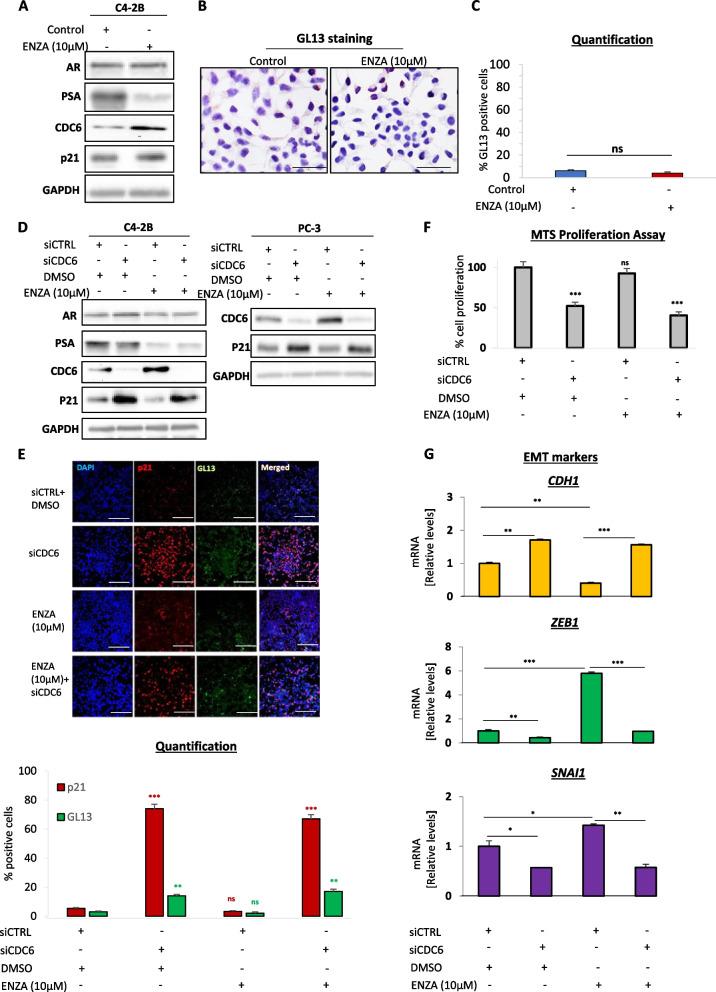 https://cdn.ncbi.nlm.nih.gov/pmc/blobs/6564/10386253/cffc284c0736/13046_2023_2769_Fig3_HTML.jpg