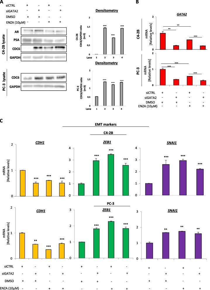 https://cdn.ncbi.nlm.nih.gov/pmc/blobs/6564/10386253/e012c92cc116/13046_2023_2769_Fig4_HTML.jpg