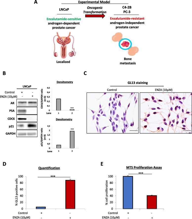https://cdn.ncbi.nlm.nih.gov/pmc/blobs/6564/10386253/ec21153ec3fe/13046_2023_2769_Fig1_HTML.jpg