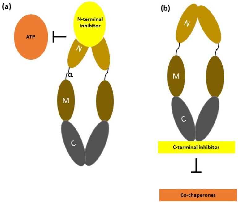 https://cdn.ncbi.nlm.nih.gov/pmc/blobs/6564/10780407/055332af2412/nanomaterials-14-00112-g003.jpg