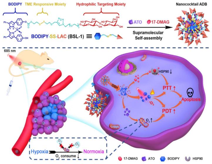 https://cdn.ncbi.nlm.nih.gov/pmc/blobs/6564/10780407/93c9eb8ad38b/nanomaterials-14-00112-g007.jpg