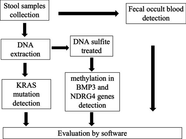 https://cdn.ncbi.nlm.nih.gov/pmc/blobs/6567/9375944/06b7583f19a8/12876_2022_2470_Fig1_HTML.jpg