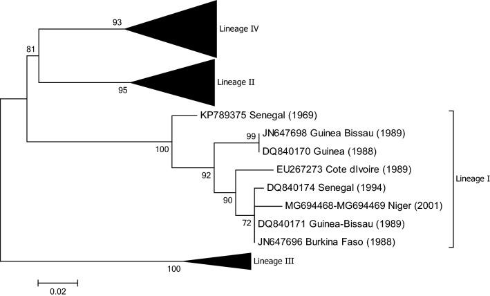 https://cdn.ncbi.nlm.nih.gov/pmc/blobs/6568/7497342/73b8de7b01e4/705_2020_4732_Fig5_HTML.jpg