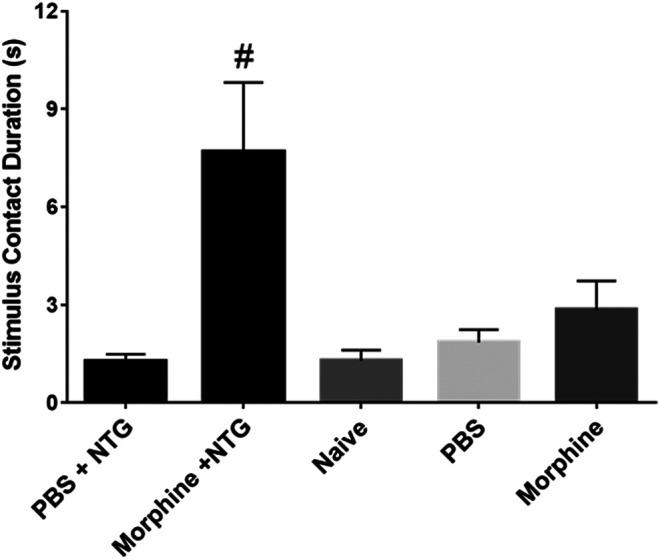 https://cdn.ncbi.nlm.nih.gov/pmc/blobs/6569/7744726/c4ffa26dba72/fphar-11-527495-g004.jpg