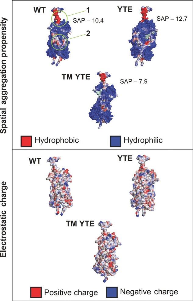 https://cdn.ncbi.nlm.nih.gov/pmc/blobs/656a/4263191/c131d8bffcc7/jps0103-0437-f8.jpg