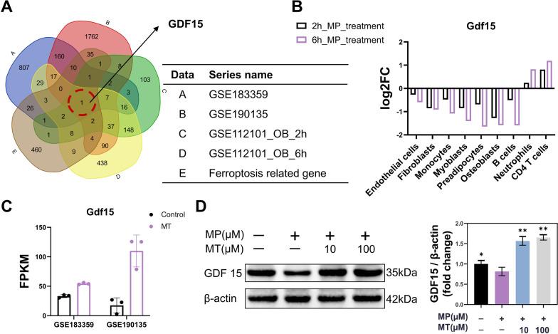 https://cdn.ncbi.nlm.nih.gov/pmc/blobs/656b/10318673/32791a6734b0/13287_2023_3371_Fig6_HTML.jpg