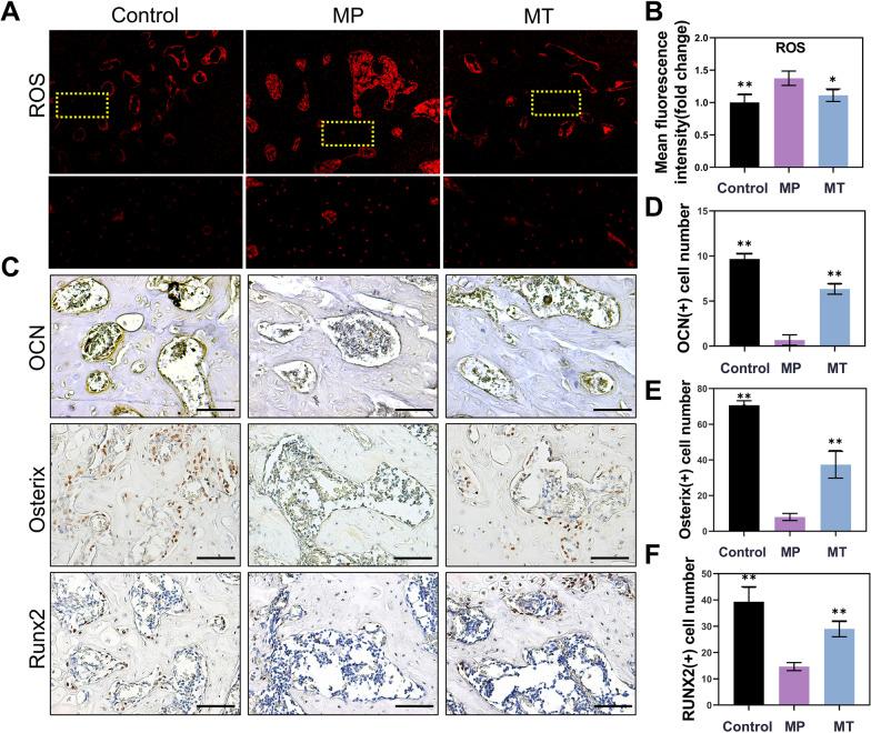 https://cdn.ncbi.nlm.nih.gov/pmc/blobs/656b/10318673/352ef9deddd2/13287_2023_3371_Fig4_HTML.jpg