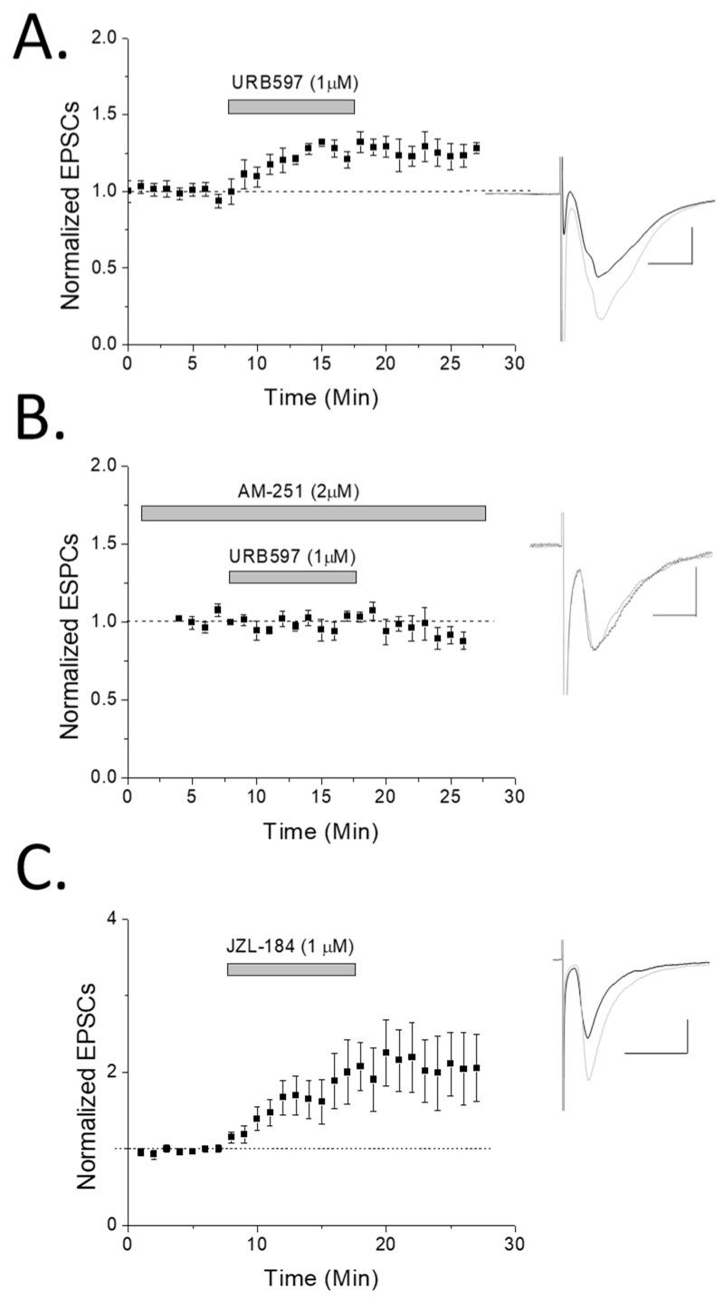 https://cdn.ncbi.nlm.nih.gov/pmc/blobs/656f/6479520/7864da3fbaf6/molecules-24-01306-g003.jpg
