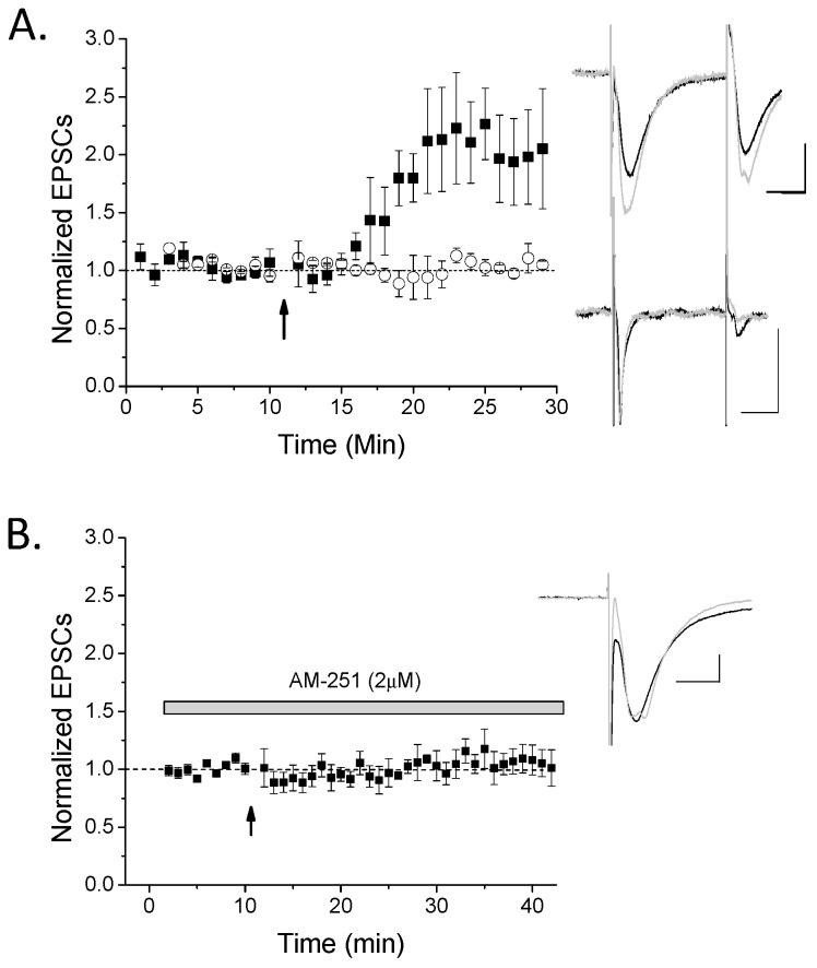 https://cdn.ncbi.nlm.nih.gov/pmc/blobs/656f/6479520/e6b7e7082461/molecules-24-01306-g001.jpg