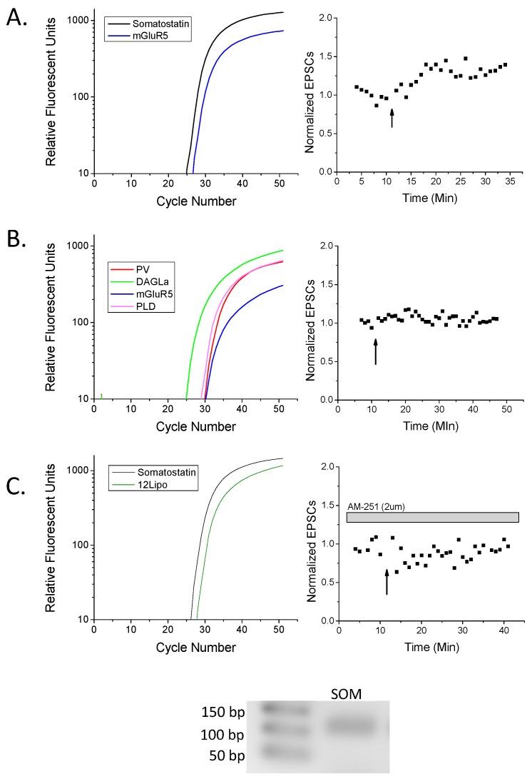 https://cdn.ncbi.nlm.nih.gov/pmc/blobs/656f/6479520/ed231ef76d8b/molecules-24-01306-g002.jpg