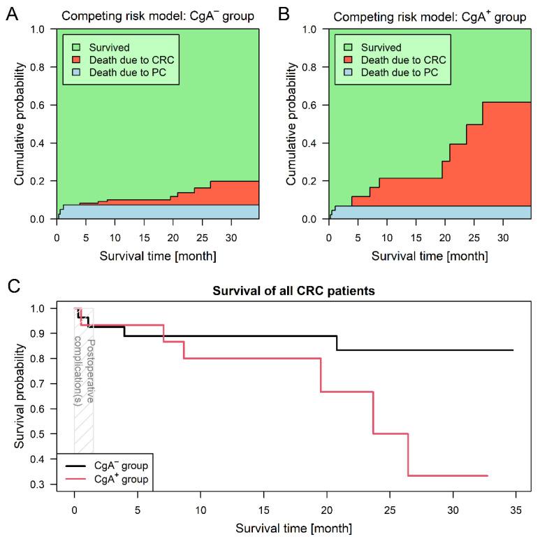 https://cdn.ncbi.nlm.nih.gov/pmc/blobs/6571/7796394/109944fe7ce0/cancers-13-00067-g002.jpg