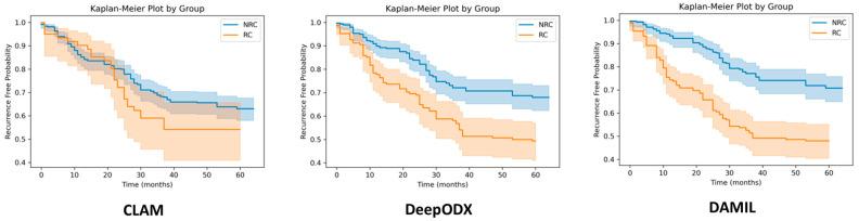 https://cdn.ncbi.nlm.nih.gov/pmc/blobs/6572/11394488/20b1afef8f3f/cancers-16-03097-g003.jpg