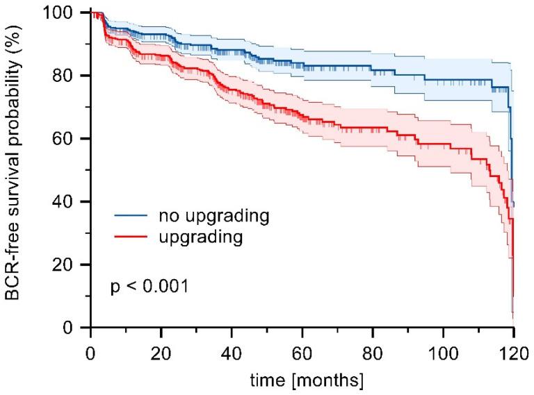 https://cdn.ncbi.nlm.nih.gov/pmc/blobs/6572/12346169/ee05b12b227b/diagnostics-15-01969-g001.jpg