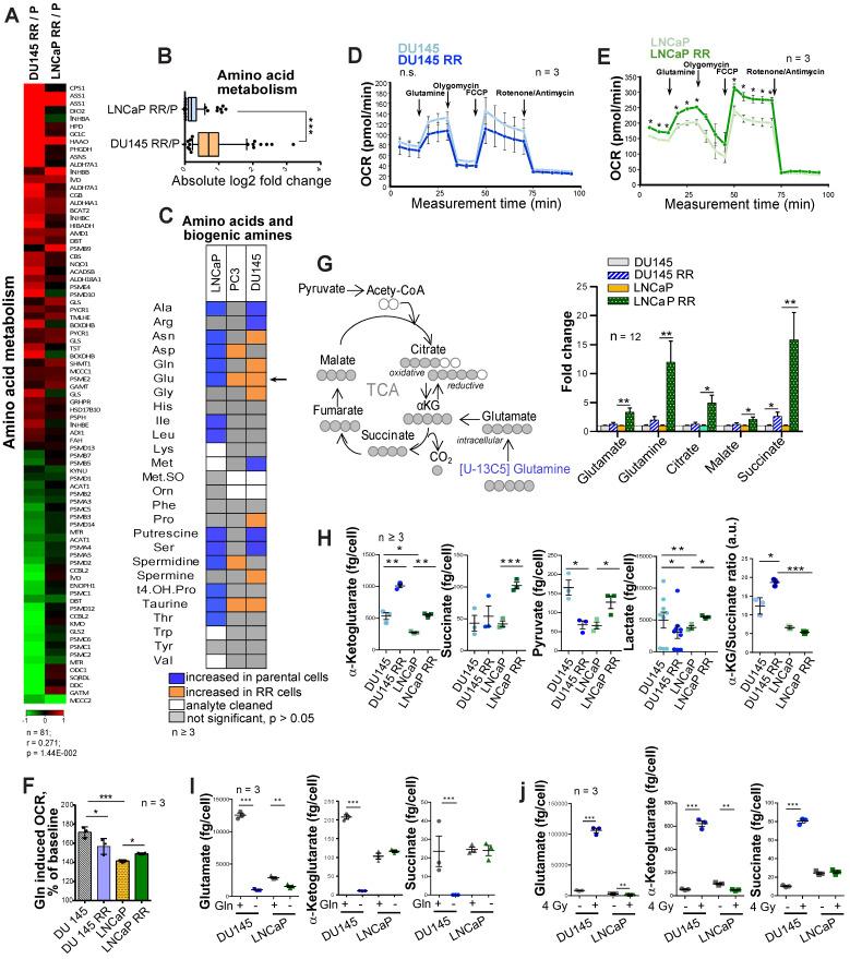 https://cdn.ncbi.nlm.nih.gov/pmc/blobs/6573/8315064/0d45eeafb496/thnov11p7844g001.jpg