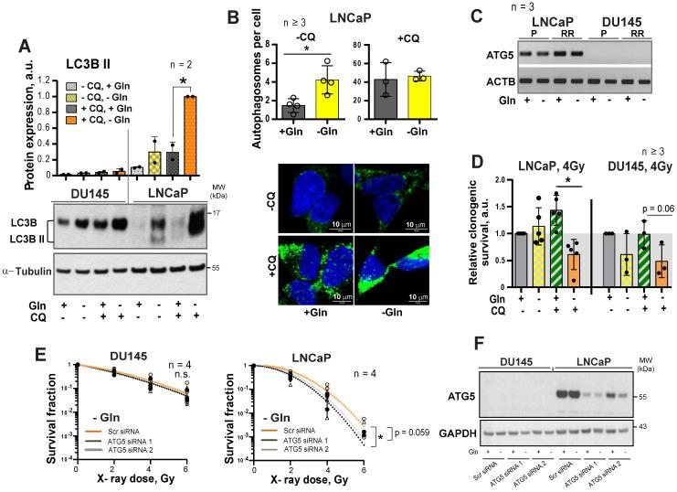 https://cdn.ncbi.nlm.nih.gov/pmc/blobs/6573/8315064/203edeaefacc/thnov11p7844g005.jpg