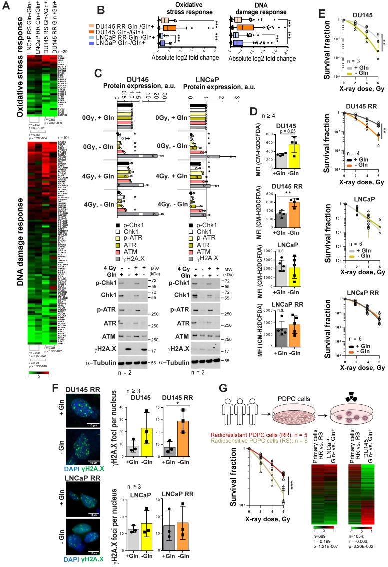 https://cdn.ncbi.nlm.nih.gov/pmc/blobs/6573/8315064/461e5f654d32/thnov11p7844g002.jpg