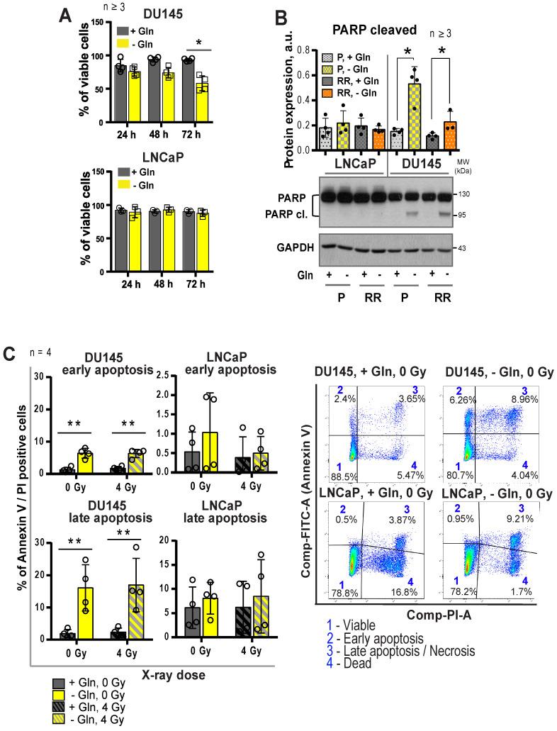 https://cdn.ncbi.nlm.nih.gov/pmc/blobs/6573/8315064/7420ffd70c42/thnov11p7844g004.jpg