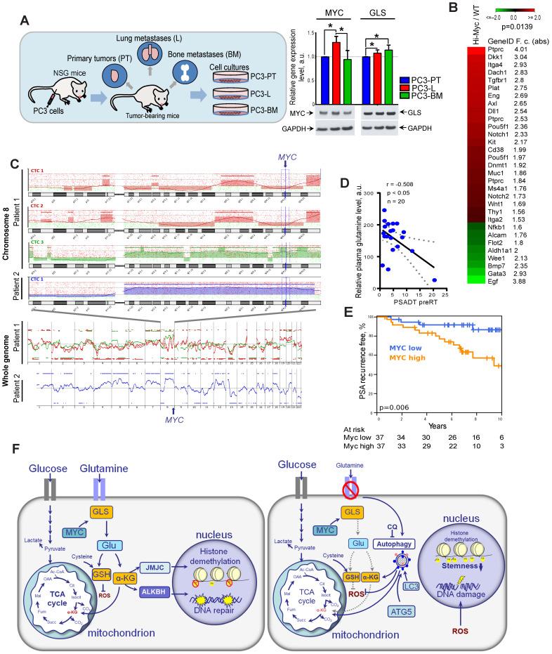 https://cdn.ncbi.nlm.nih.gov/pmc/blobs/6573/8315064/7a58768a20a2/thnov11p7844g008.jpg