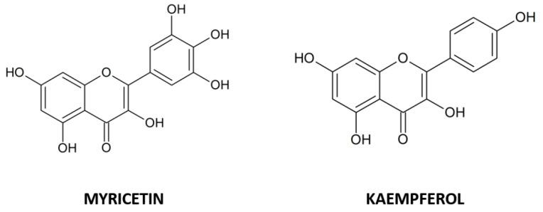 https://cdn.ncbi.nlm.nih.gov/pmc/blobs/6574/9026553/167d2812df4b/ijms-23-04411-g001.jpg