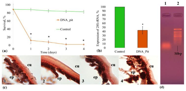 https://cdn.ncbi.nlm.nih.gov/pmc/blobs/6574/9779641/c99edb943b4b/ijms-23-15681-g002.jpg
