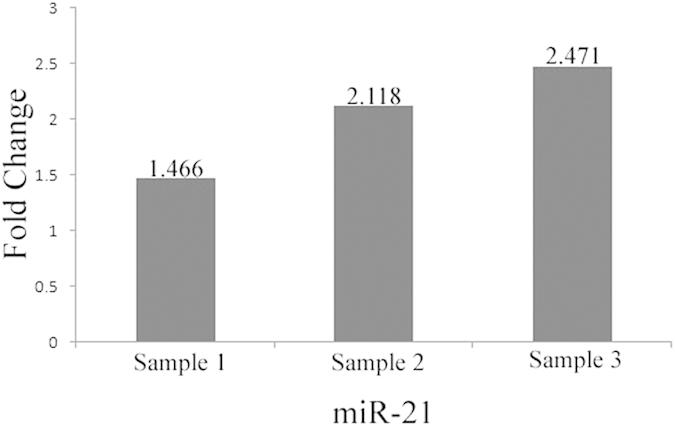https://cdn.ncbi.nlm.nih.gov/pmc/blobs/6575/4745004/471f98475a44/srep20616-f9.jpg