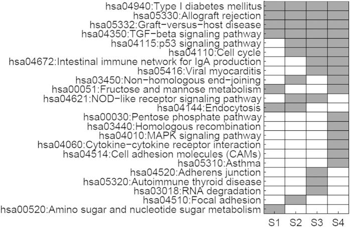 https://cdn.ncbi.nlm.nih.gov/pmc/blobs/6575/4745004/e5fe2556dd41/srep20616-f1.jpg