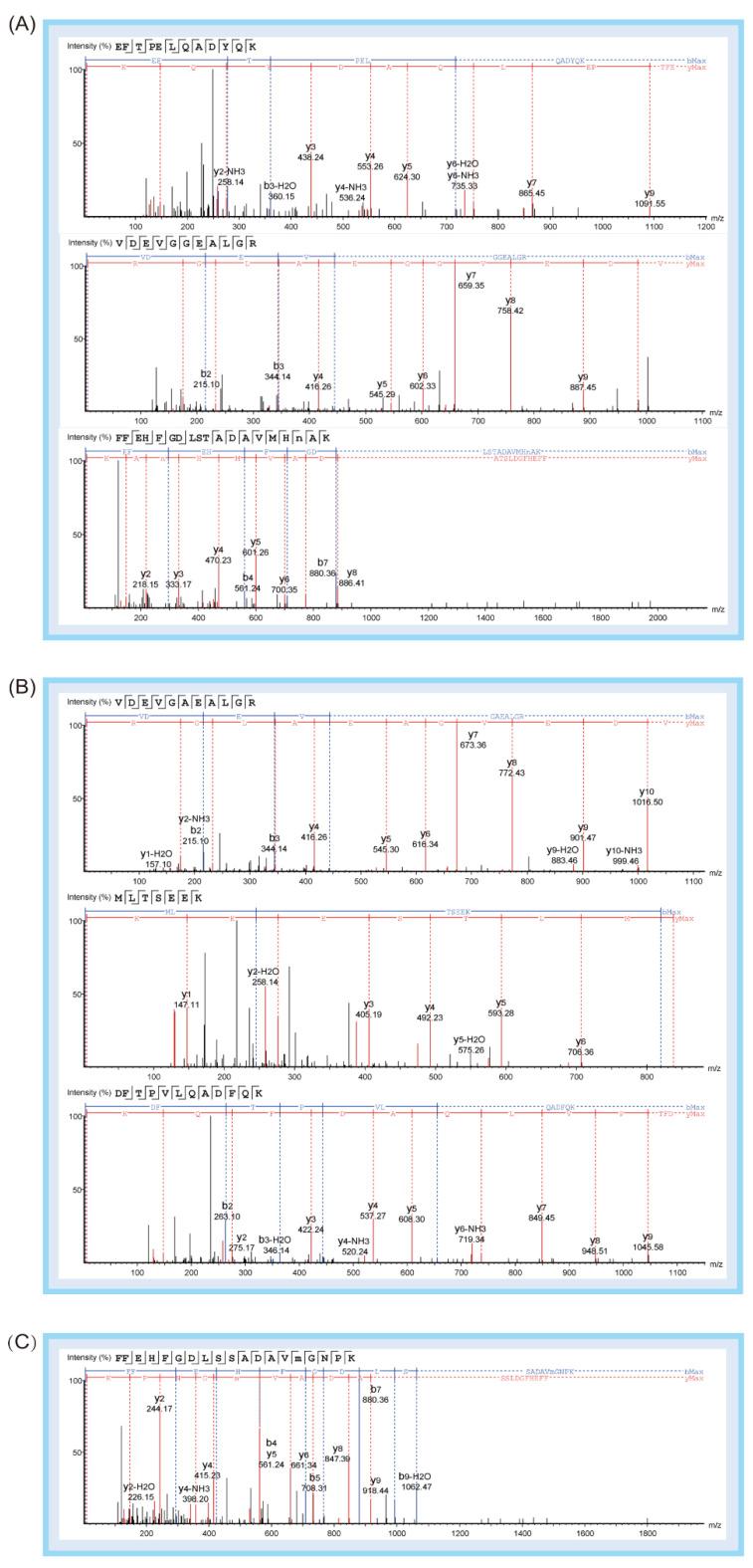 https://cdn.ncbi.nlm.nih.gov/pmc/blobs/6576/9331363/357a8d8e45e1/molecules-27-04756-g002a.jpg