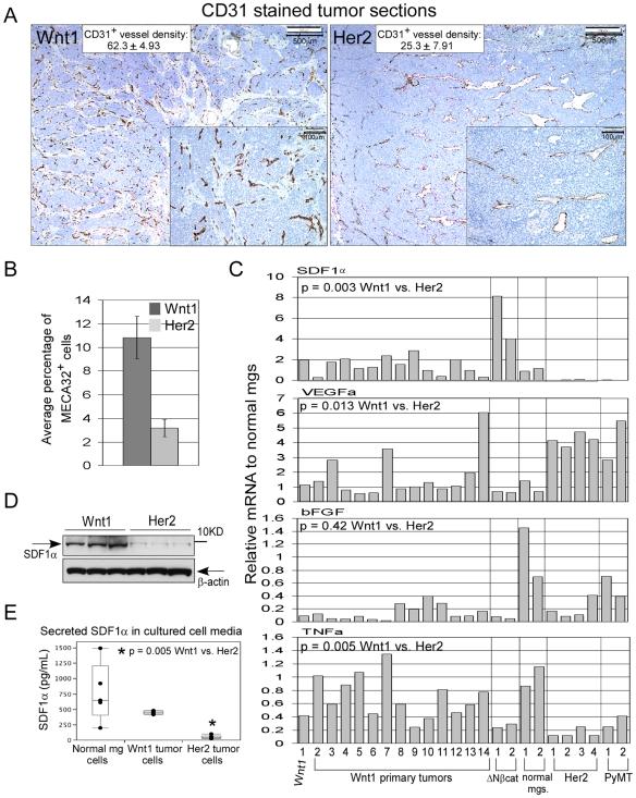 https://cdn.ncbi.nlm.nih.gov/pmc/blobs/6577/2801592/5b1bf8ae00cf/pone.0008611.g001.jpg