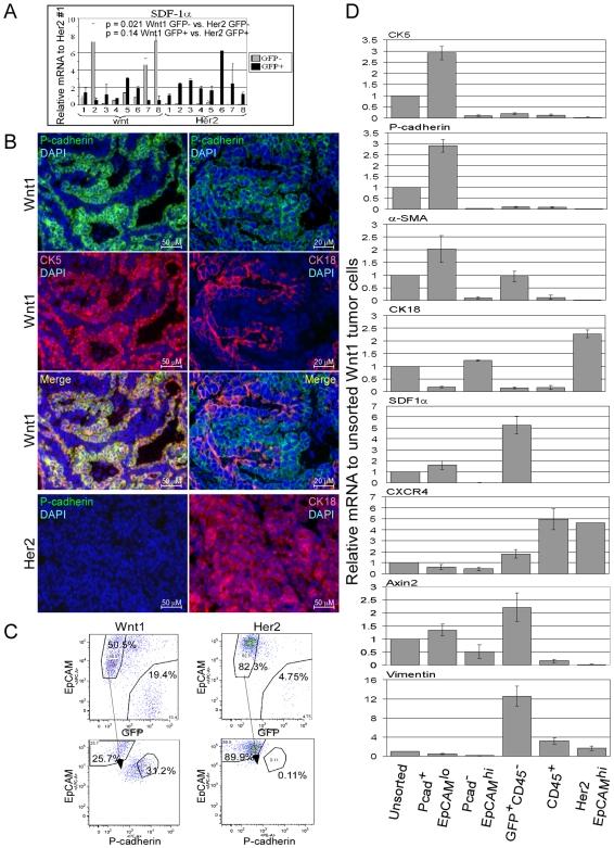 https://cdn.ncbi.nlm.nih.gov/pmc/blobs/6577/2801592/b238be97edfe/pone.0008611.g002.jpg