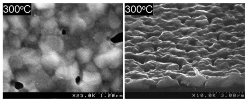https://cdn.ncbi.nlm.nih.gov/pmc/blobs/6578/11643892/89e4ead898fe/molecules-29-05705-g016.jpg
