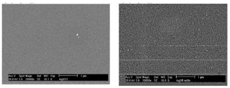https://cdn.ncbi.nlm.nih.gov/pmc/blobs/6578/11643892/bc0e2595e853/molecules-29-05705-g020.jpg