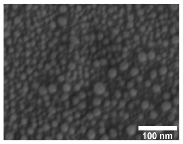 https://cdn.ncbi.nlm.nih.gov/pmc/blobs/6578/11643892/e6cc2092e94c/molecules-29-05705-g019.jpg