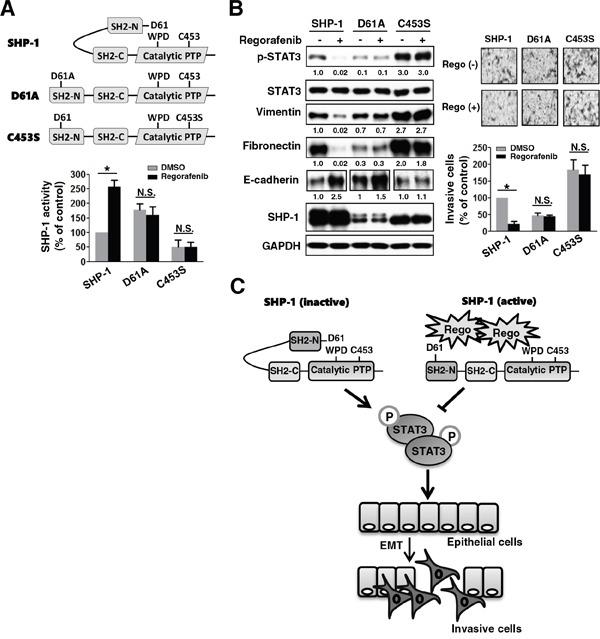 https://cdn.ncbi.nlm.nih.gov/pmc/blobs/657a/5325431/871d5edf82d4/oncotarget-07-64136-g004.jpg