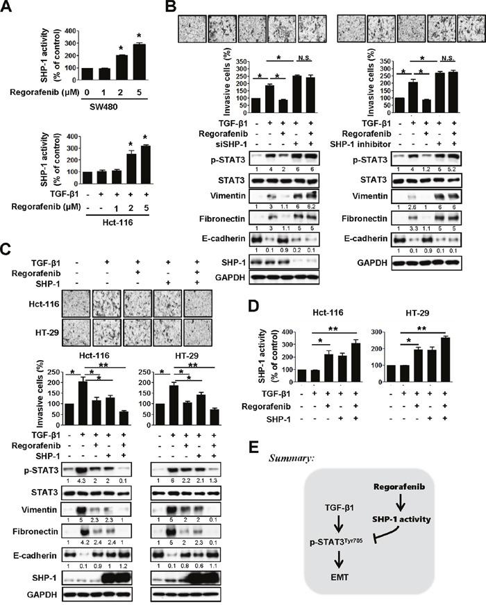 https://cdn.ncbi.nlm.nih.gov/pmc/blobs/657a/5325431/a094e0e67a48/oncotarget-07-64136-g003.jpg