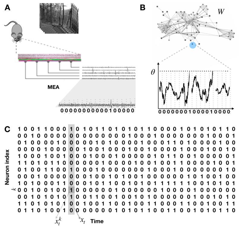 https://cdn.ncbi.nlm.nih.gov/pmc/blobs/657c/7712217/f2082d5097ec/entropy-22-01330-g002.jpg
