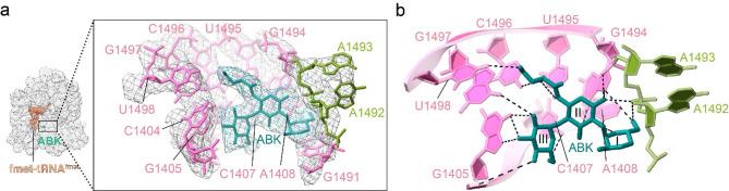 https://cdn.ncbi.nlm.nih.gov/pmc/blobs/657d/12104382/48b7d95faa1d/41598_2025_2391_Fig3_HTML.jpg